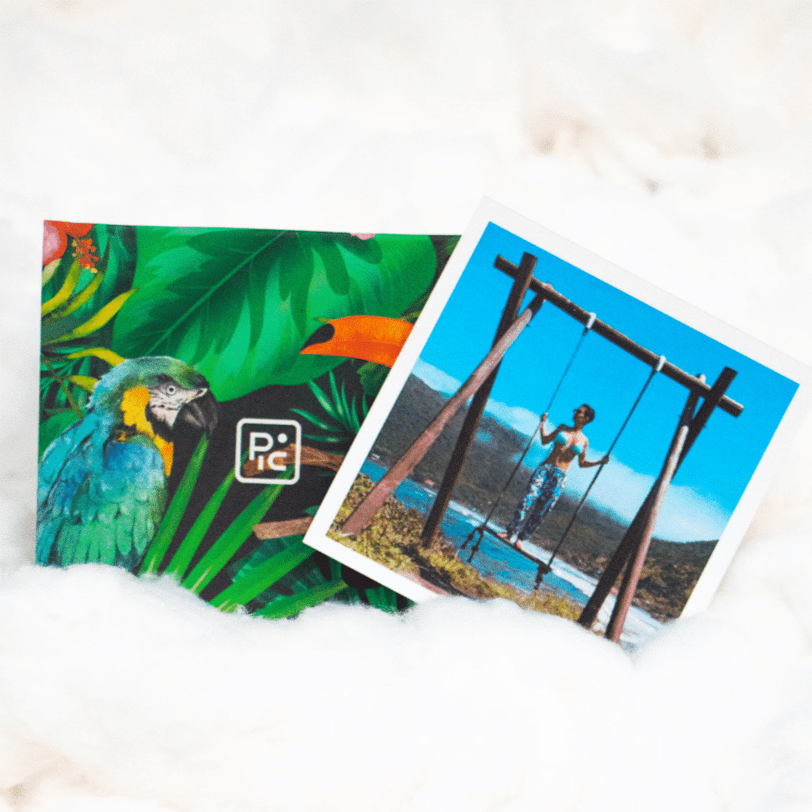 Alternative view of Álbum Mini _Pássaros_ com 10 Fotos